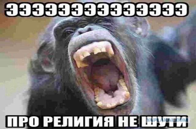 Хадисы в культуре мусульман