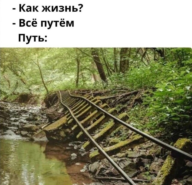 20740533.jpg