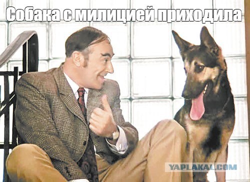 Слишком много экшена