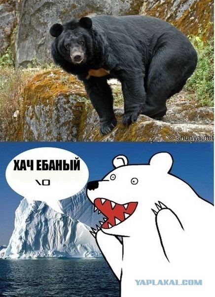 Ебучая Тварь