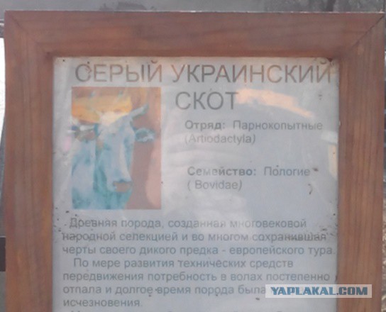 Прогулка по   весенней Одессе
