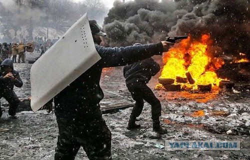 Из Донбаса