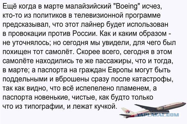 На Украине рухнул Боинг-777 малайзийских авиалиний