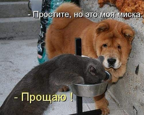 Веселые картинки.