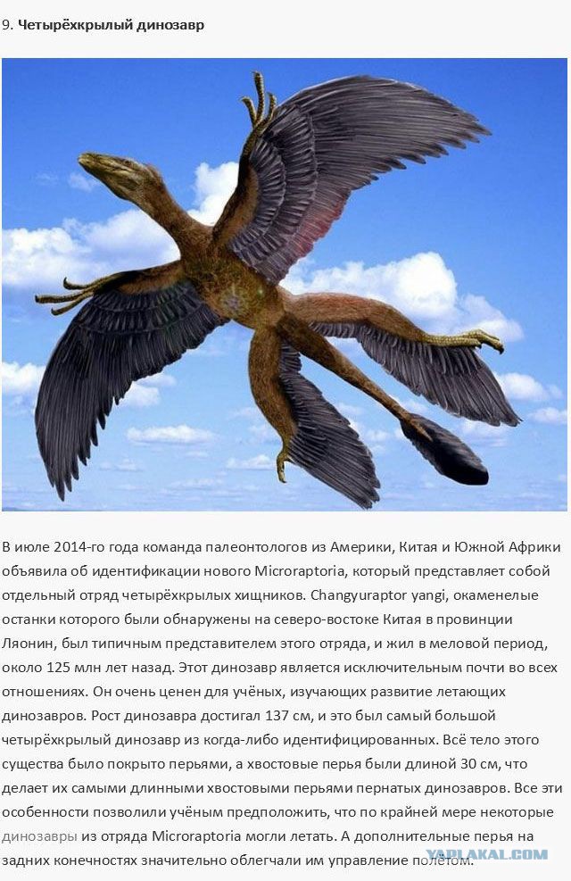 20 фактов обо всем