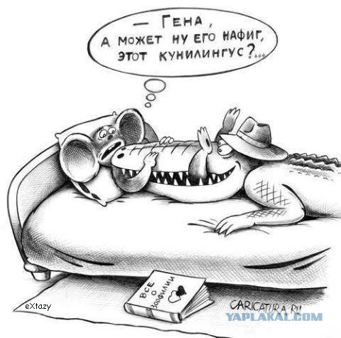Юмор ниже пояса