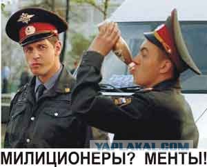 Внимание, внимание!