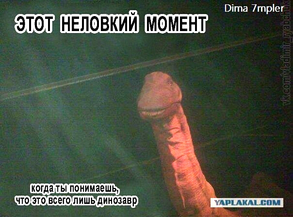 Тест на испорченность...