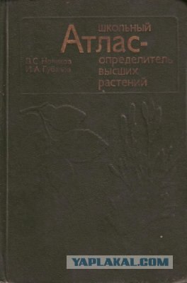 Вопрос к знатокам колдовства и мистики.