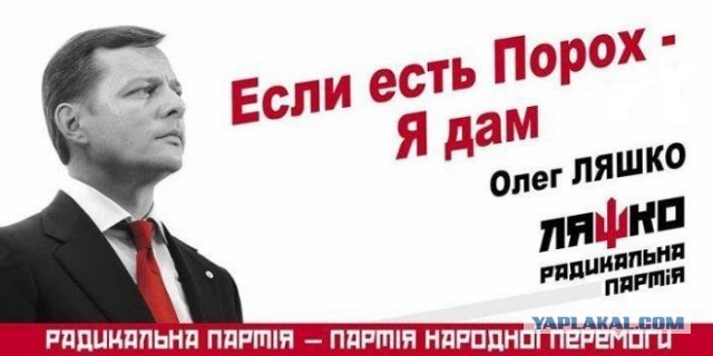 Выборы-выборы! Кандидаты... молодцы.