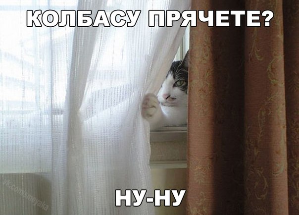 Картинки и демотиваторы