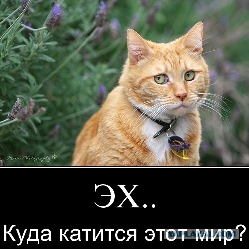 Как меня спас ремень безопасности.