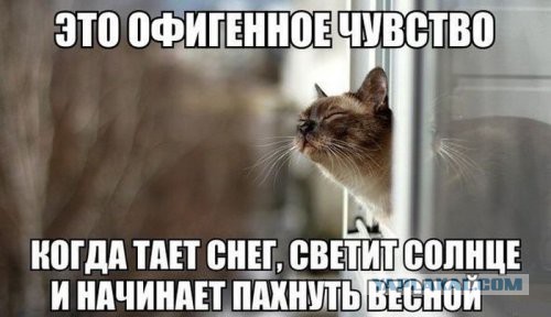 Веселые картинки ч.2