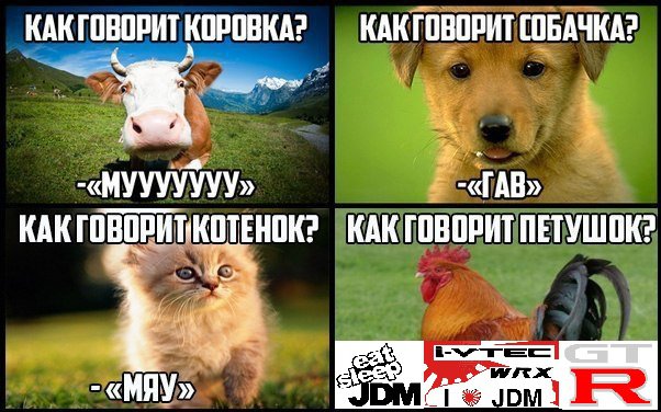 Картинки из ваших этих итернетов...3