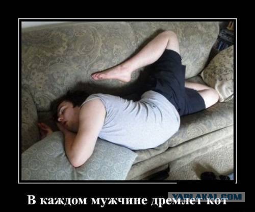 Картинки, демотиваторы и прочие приколы с просторов необъятного