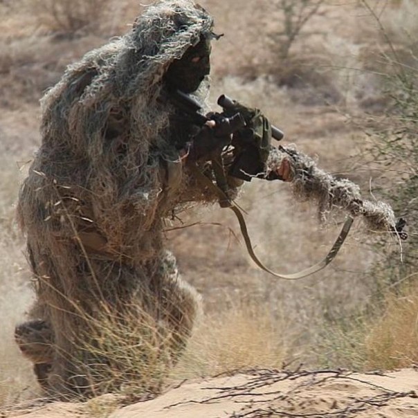 Картинки разные.