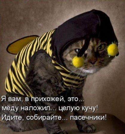 Божьи твари