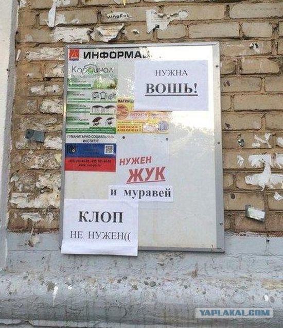 Забавные объявления