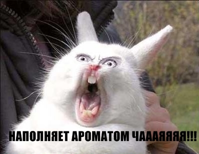 Юмор не для всех