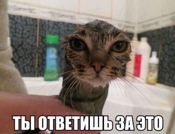 Картинок всяких #2