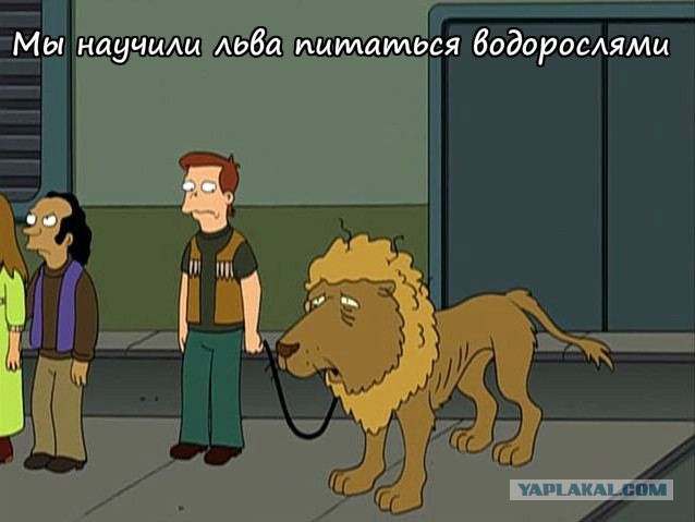 Родителей-веганов нужно много лечить. Электричеством...