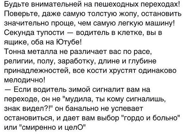 Везу тёщу на дачу. Она спереди, сзади едет сын 10-ти лет...