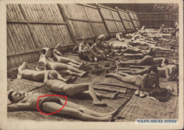 Интересные и редкие фотографии