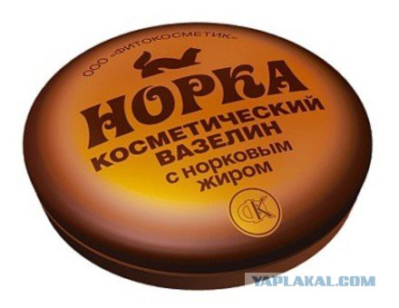 Лыжницы. Рейс на Куршавель