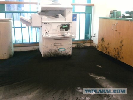 Ртутная история