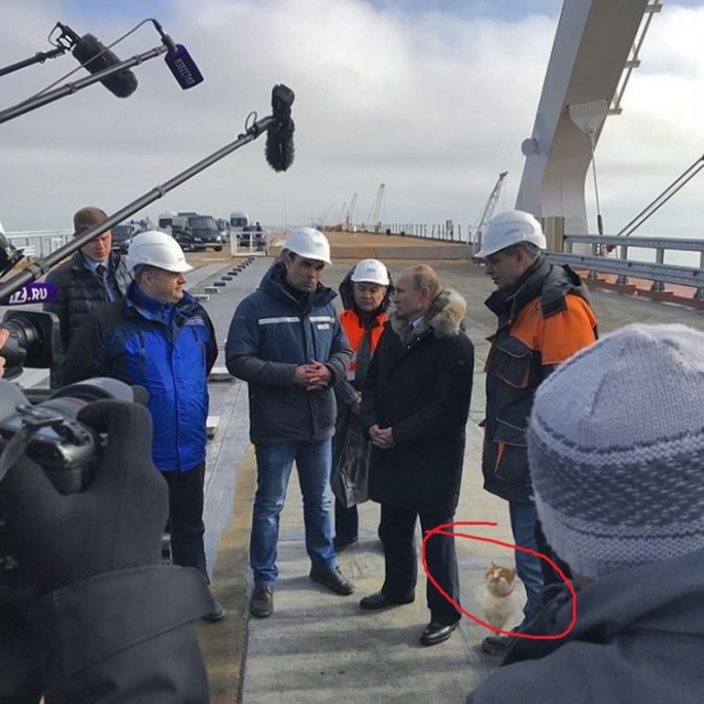 Автодорога Крымского моста заасфальтирована на 70% — заказчик