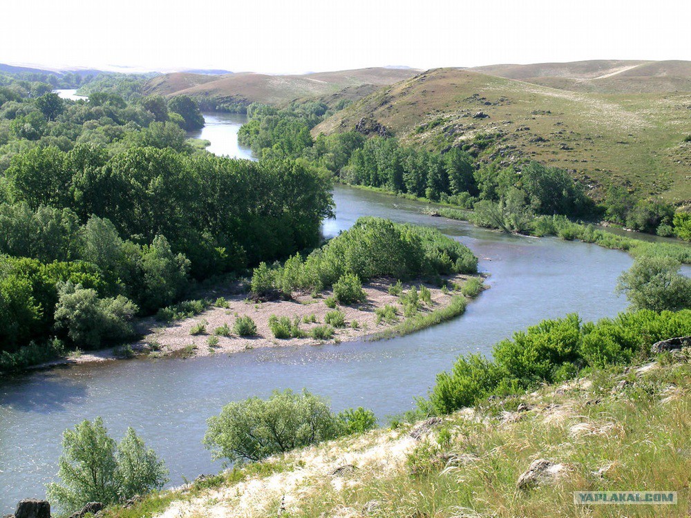 Река алей в рубцовске. Река алей Алтайский край. Алей (река) реки Алтайского края. Елунино.