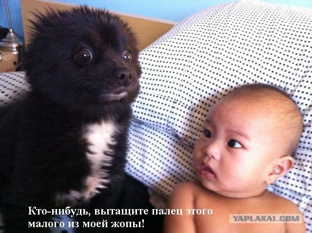 Кто этот зверь?