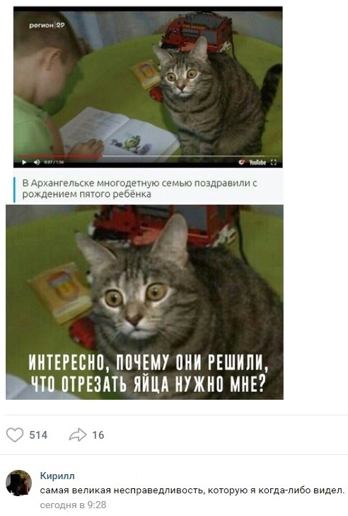 Анекдоты, соц-сети и картинки с надписями