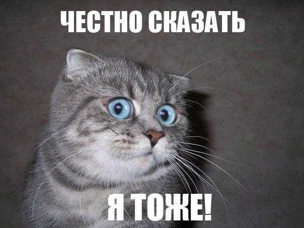 Кого звать, если...