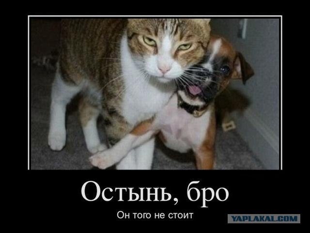 Вы хотите революций?