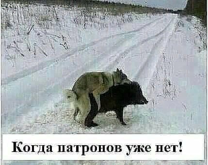 Поднакопилось чутка картинок и надписей