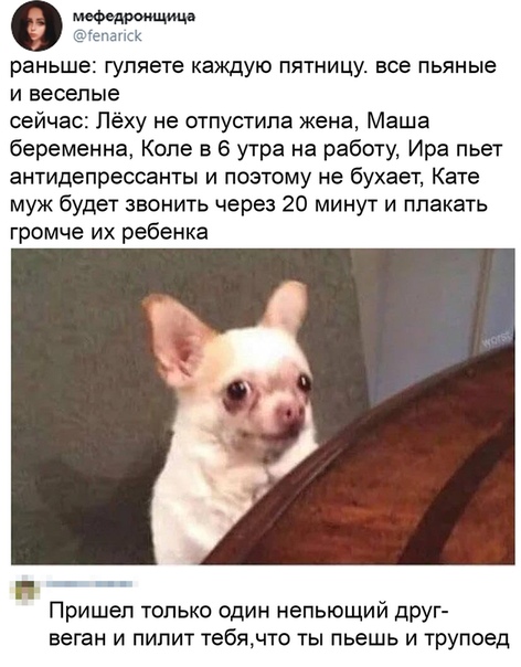 Алкопост. 28.08.2020