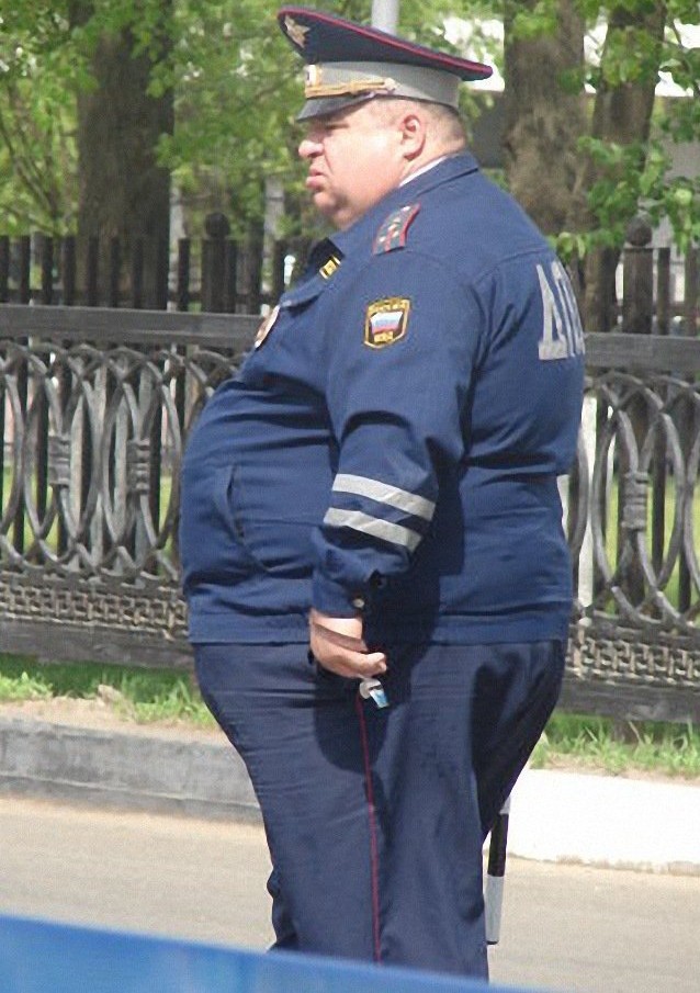 толстый дпсник