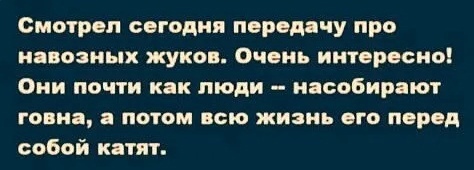 Всего несколько дней и разрушенный паводками мост в Забайкальском крае уже восстановлен