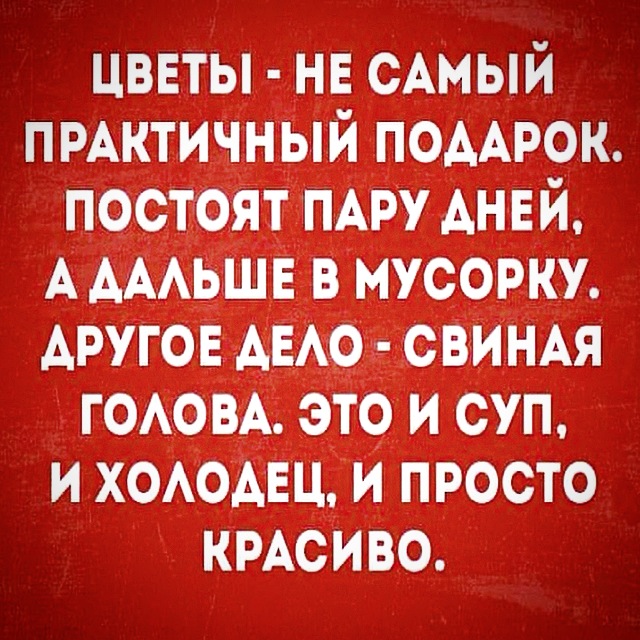 Юмор и прикольные картинки