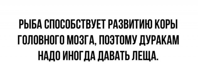 Весёлый полтишок 01.04
