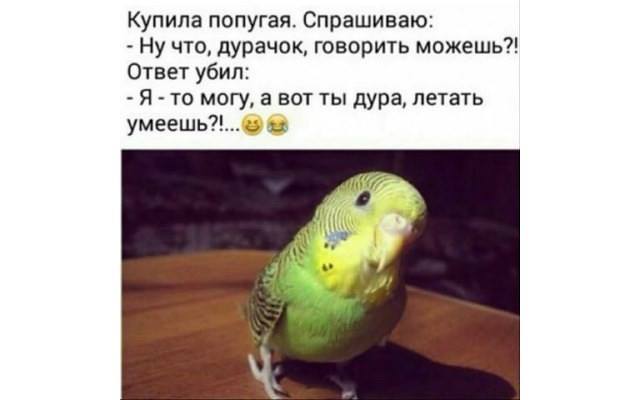 Картинки и мемы для настроения - 015