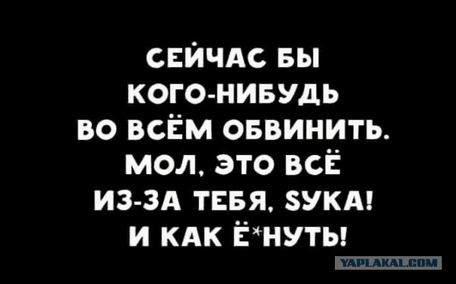 Юмор в картинках и без 26.07.2023