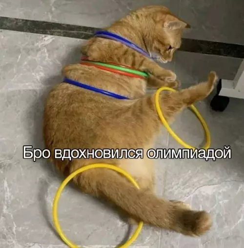 Картиночки, баянчики 21 февраля