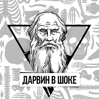 Вы посмотрите какая операторская работа