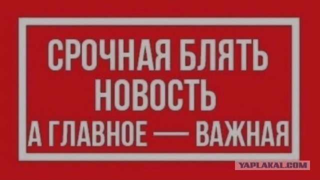 Отпуск, Симеиз