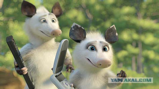 Опоссум попал в западню