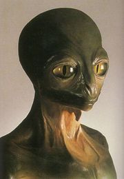 Мое папье-маше