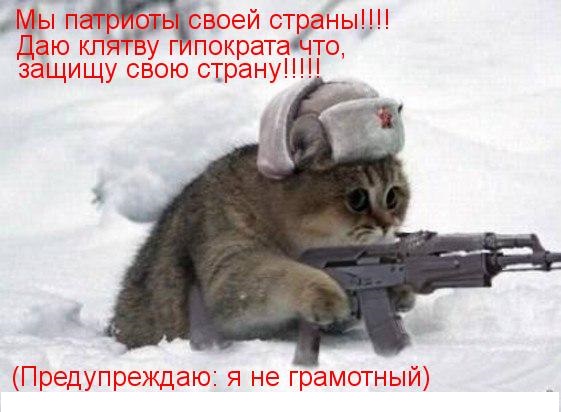 И до котов эти сволочи добрались :-)