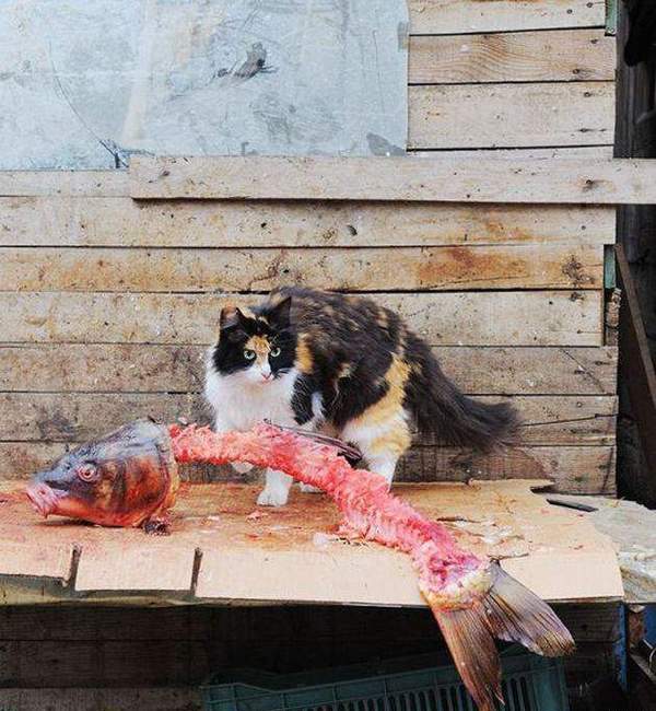 Позитивные картинки